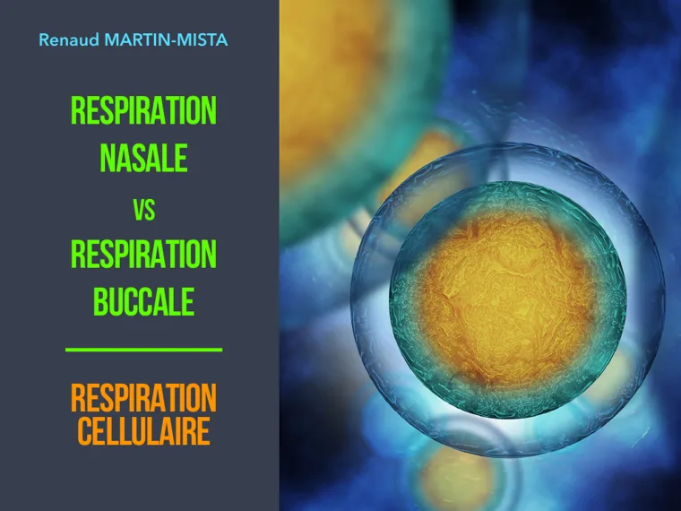 Support : respiration nasale, buccale et cellulaire