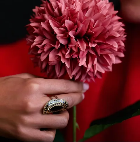 Visuel du programme Rebirth : une fleur rose tenue à la main